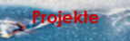 Projekte