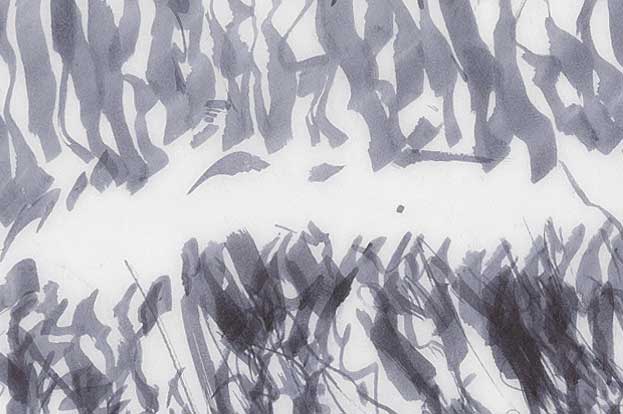 B_020, Detail