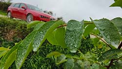 Walter Stach: Calanchi – Panoramico Dinosauri, Calanchi – 
Panoramico Dinosauri
Photos from the study visit to Emilia-Romagna (IT), 2024
