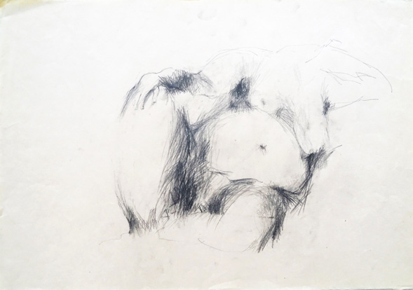 Walter Stach, Lotte (Studie). 1969