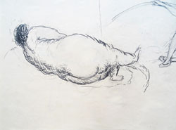 Walter Stach: Vorstudie zu "Lotte" (Ausschnitt). 1969