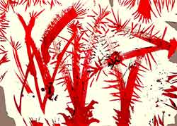 Walter Stach: W Wie Wut, 2024