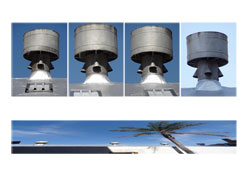 Walter Stach, Trinity. 2012