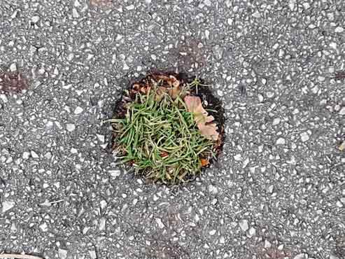 Gabriele Stöger: Untitled, 2020