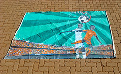 public viewing - public painting – Bilderübergabe in Masibambane / im Masibambane College, 2008