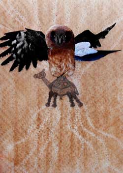 Maurer, Stach: Night Camel. 2016