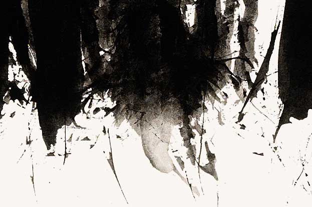 B_026, Detail