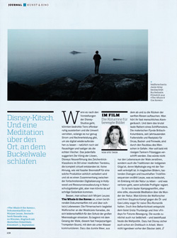 Jörg Restorff, Klare Signale, Kunstzeitung März 2015