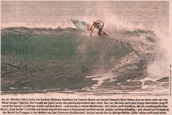 Raymond Pettibon, Plots Laid Thick, Ausschnitt. 2002