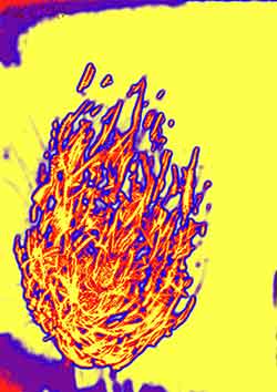 Marcus Neustetter and Walter Stach, JNB312VIE_dd. 2017