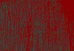 Marcus Neustetter and Walter Stach, JNB312VIE_dd. 2017