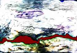 Marcus Neustetter and Walter Stach, JNB312VIE_dd. 2017