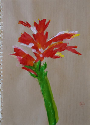 Walter Stach. Cactusflower. 2016