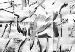 Walter Stach, chin.coll, 2011