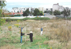 Feld: Art projects in public space in Vienna-Donaustadt. 1994